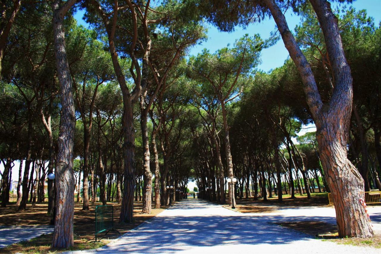 Hotel La Pineta Dei Liberti Lido dei Pini